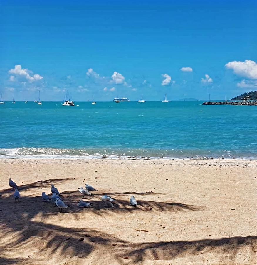 La Villa At Beach Court Airlie Beach Esterno foto